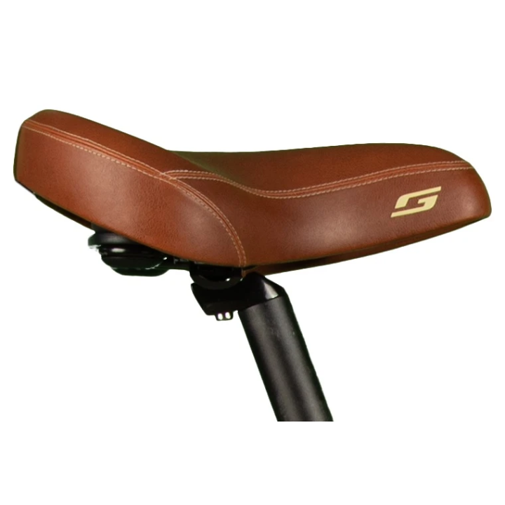 Vélo de ville électrique GRANVILLE E-Absolute 34 - 400WH | Ovelo