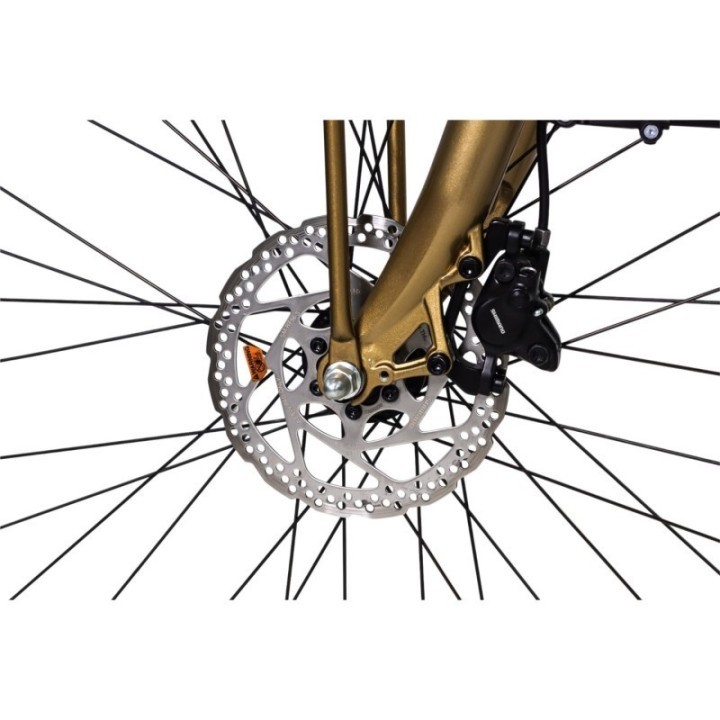 Vélo de ville électrique SOLEX Intemporel 1946 Confort - "Louis d'or" édition Versailles | Ovelo