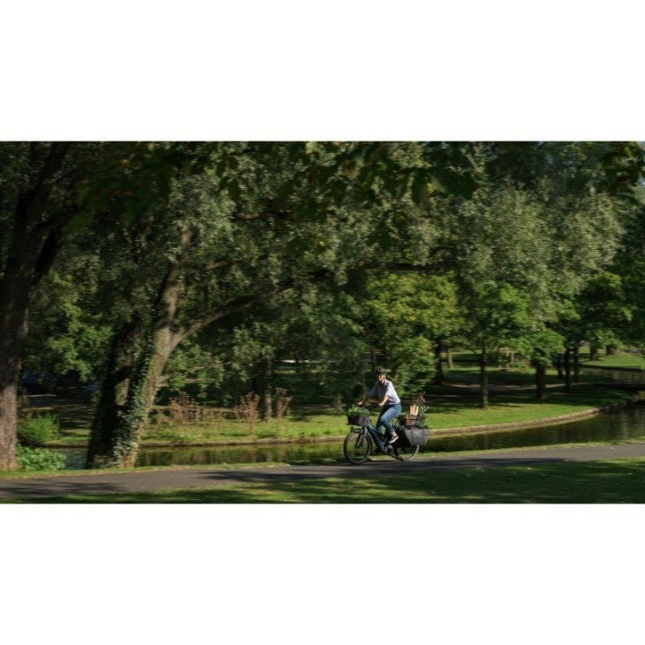 Vélo longtail électrique CUBE Longtail Hybrid 800 | Ovelo