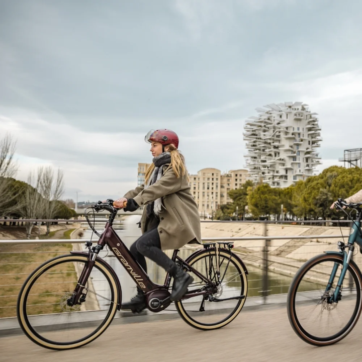 Vélo de ville électrique GRANVILLE E-Integrated 30 - 400 Wh | Ovelo