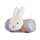 https://www.ovelo.fr/19334-thickbox_default/coussin-thule-yepp-mini-handlebar-padding-miffy.jpg