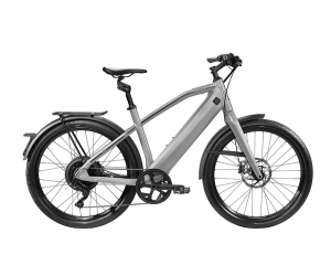L (50 cm)