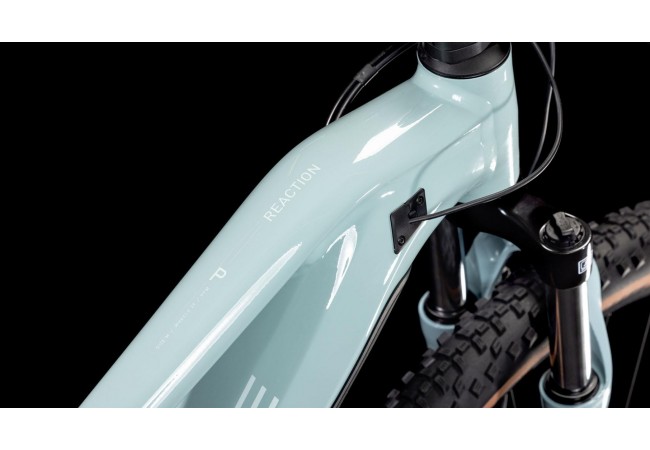 https://www.ovelo.fr/48981/reaction-hybrid-performance-500wh.jpg