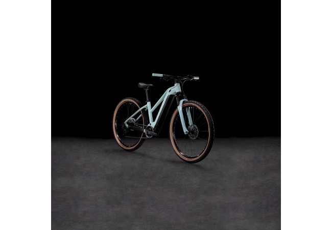 https://www.ovelo.fr/48986/reaction-hybrid-performance-500wh.jpg