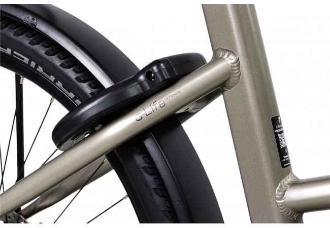 https://www.ovelo.fr/50424/g-life-intense-mixte-625wh-purion-200.jpg