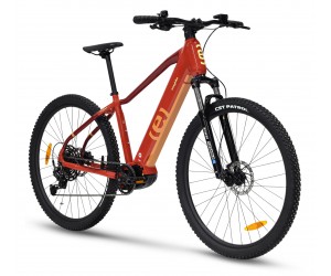 EASYBIKE - EASY SPORT D11 -  480WH
