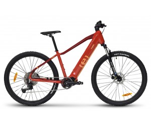 EASYBIKE - EASY SPORT D11 -  480WH