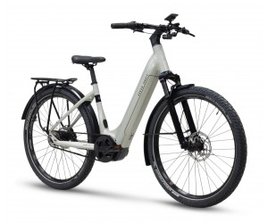 URBAN JUNGLE Barrio 3.0 - 500Wh