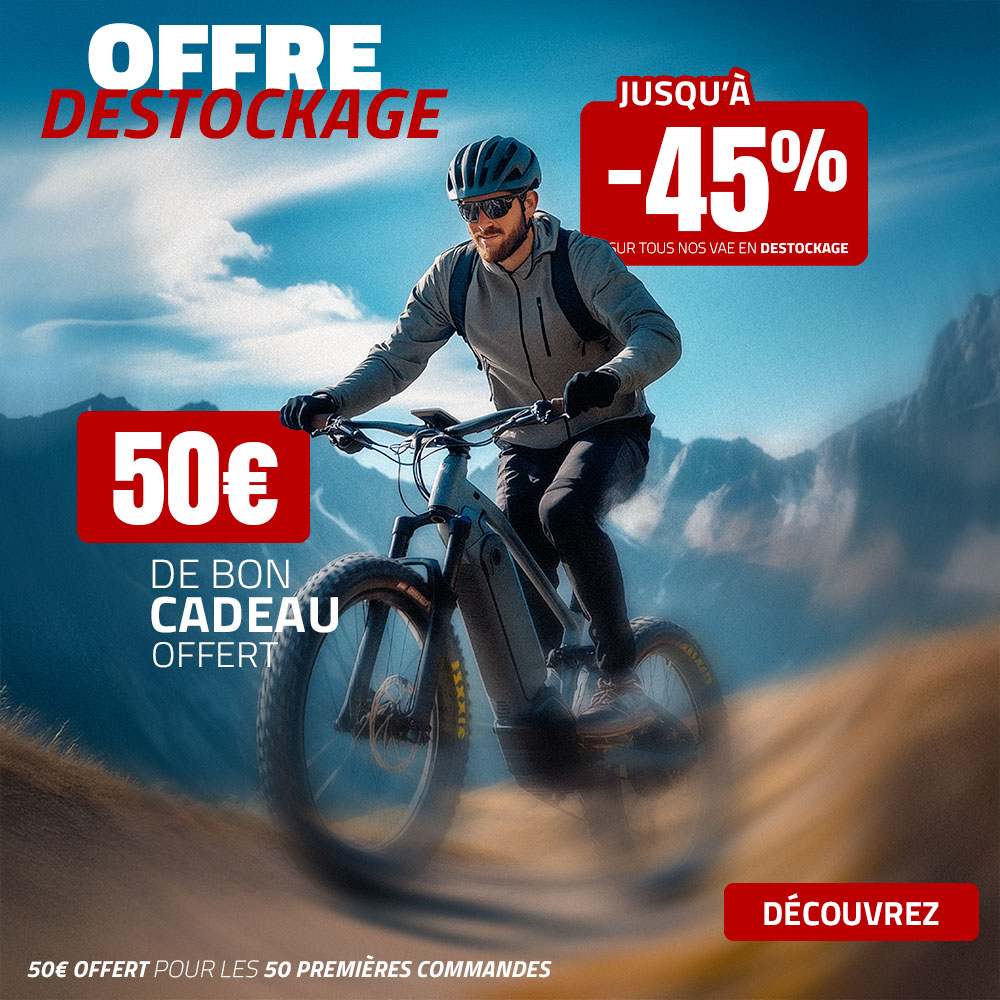 Destockage_Ovelo